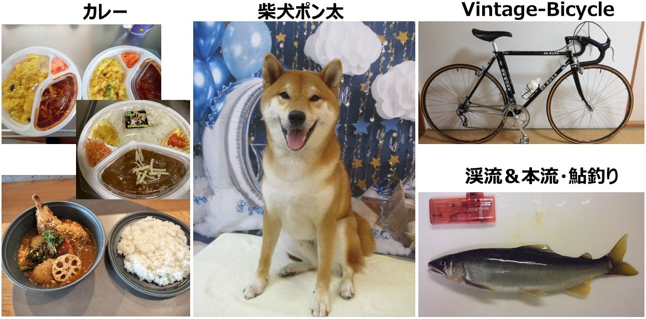 柴犬ポン太と趣味のサイト（カレー/自転車/渓流＆鮎釣り） サイトTOP